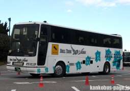 除籍車
